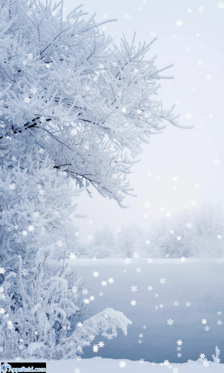 Зимнее утро