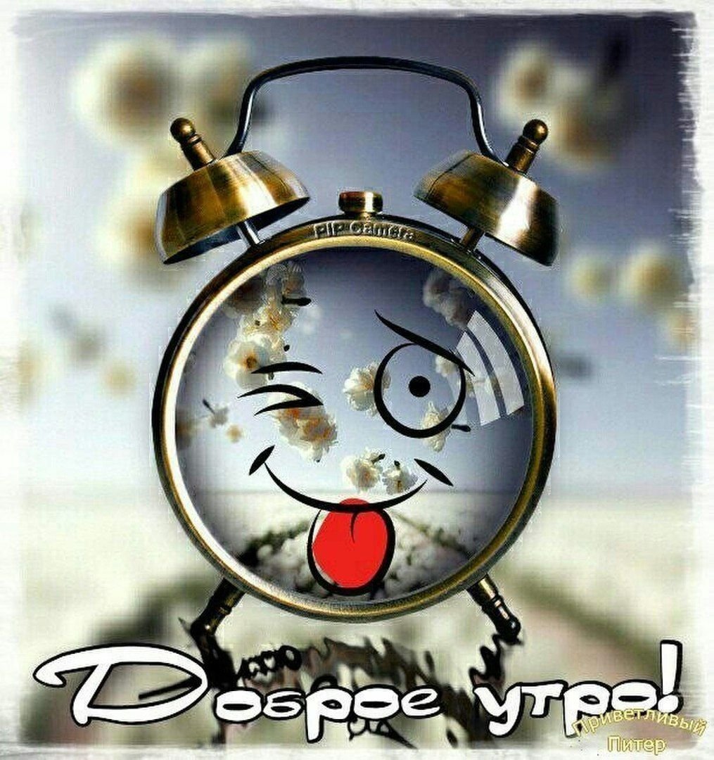 Анекдоты с добрым утром