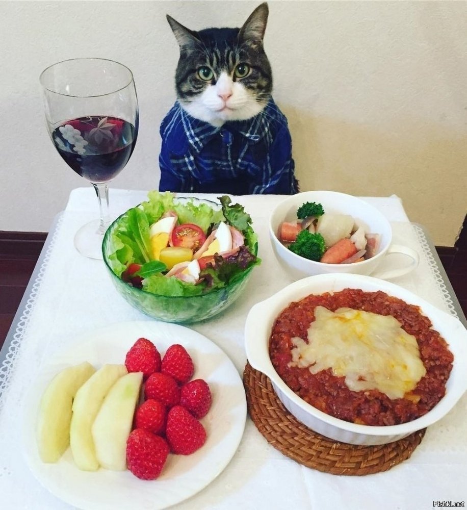 Котик с кофе