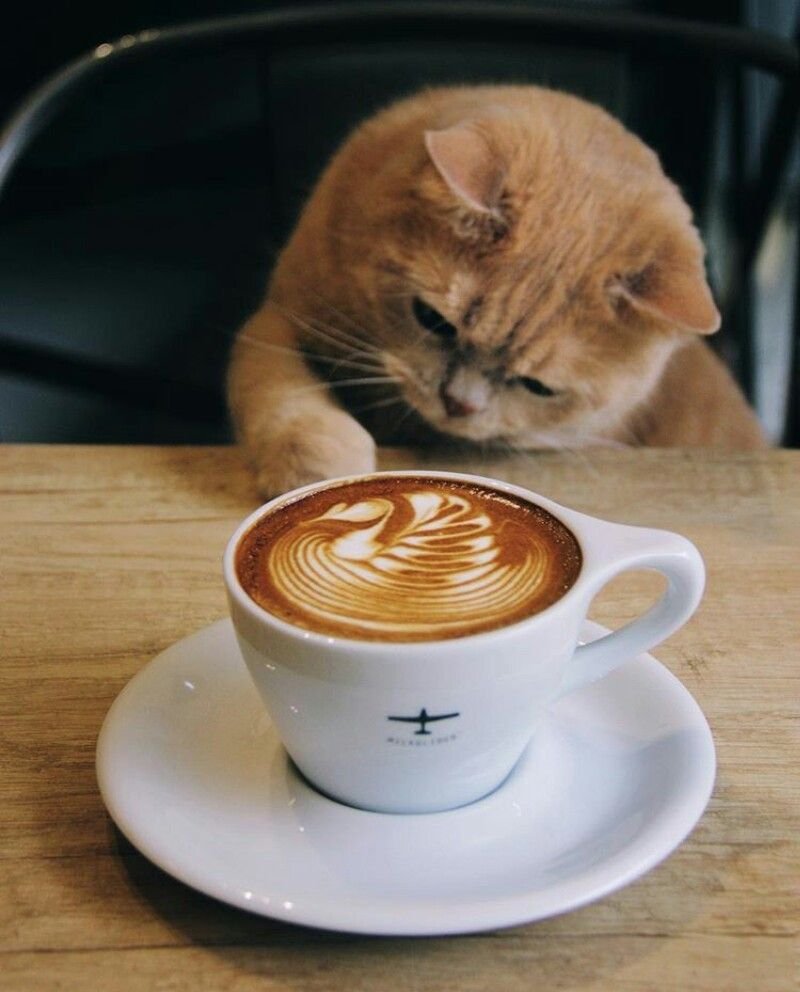 Открытки доброе утро