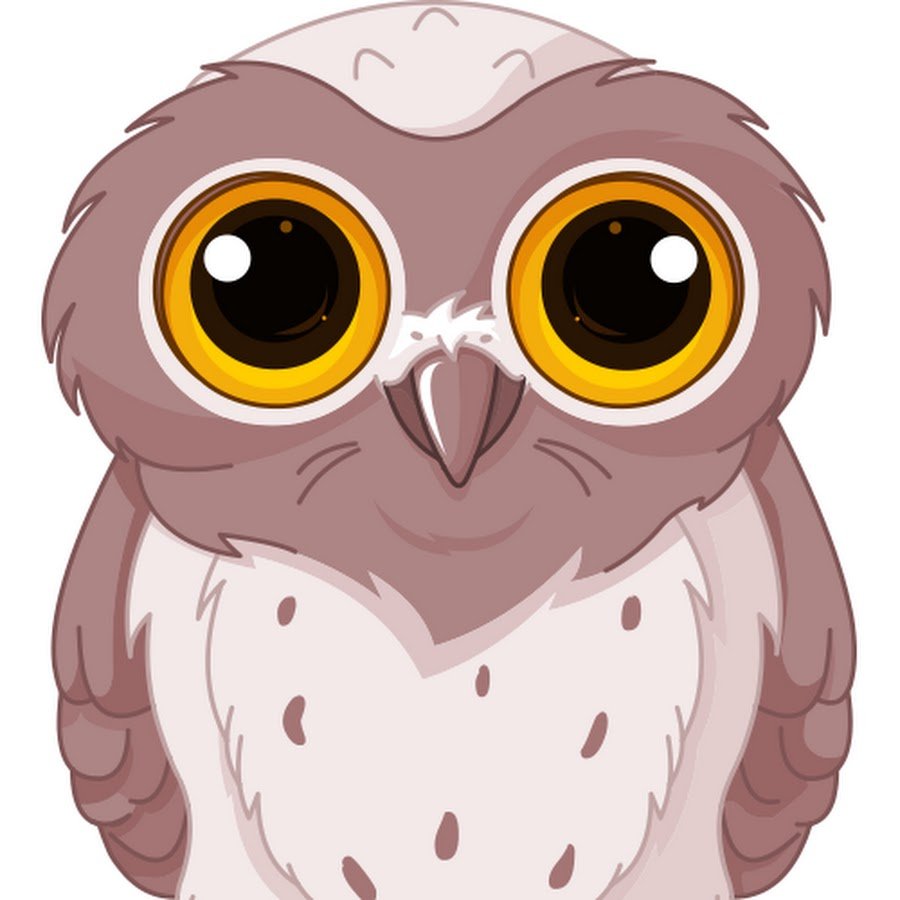 Наоми Лорд Гарри Поттер Сова