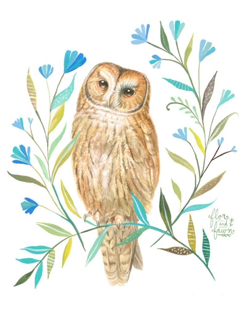 Совушка для метрики