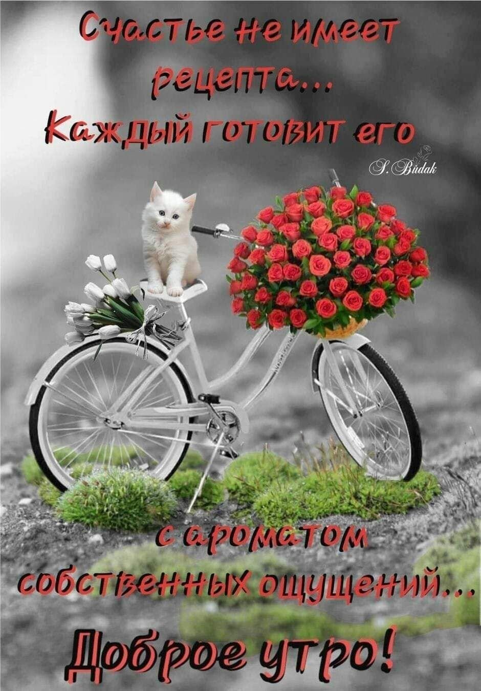 Хорошего дня с пожеланиями стильные