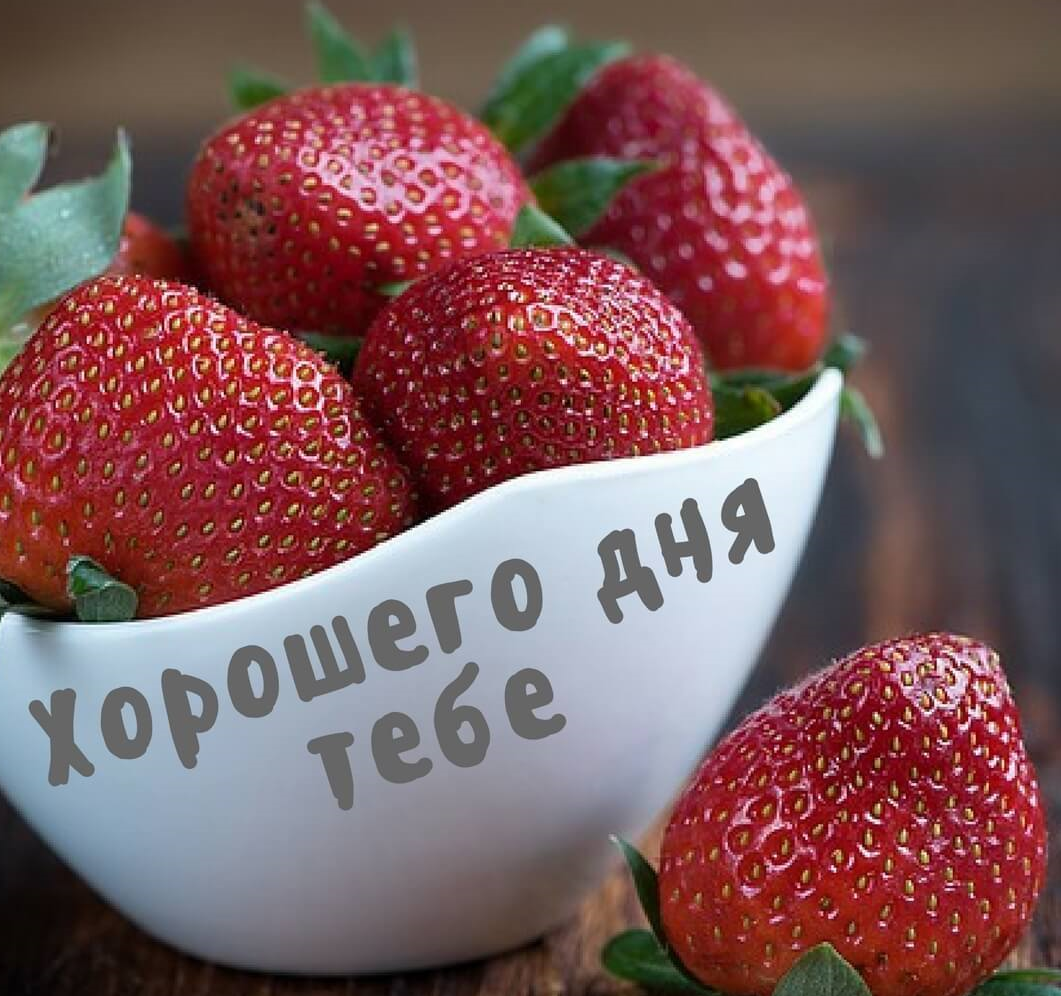 Добрый день