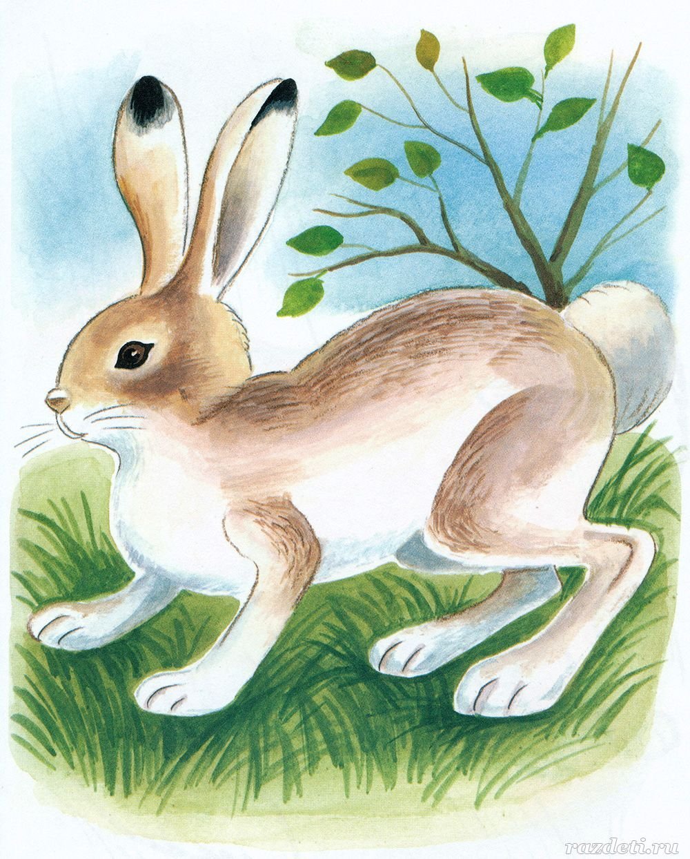 Топотун Дисней