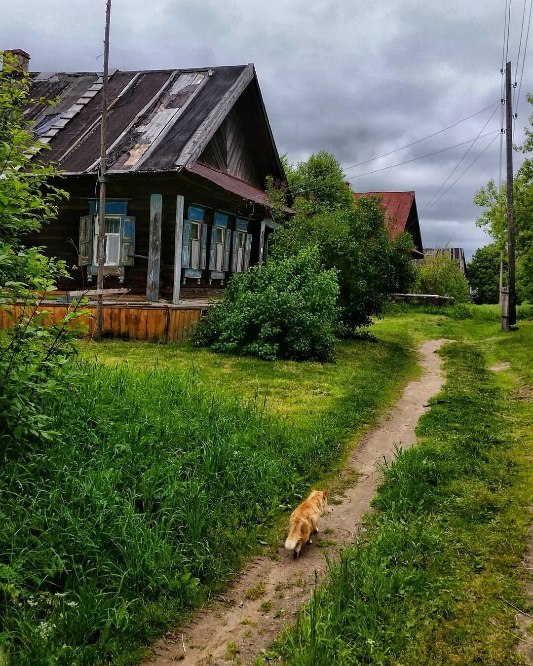 Деревенская улочка