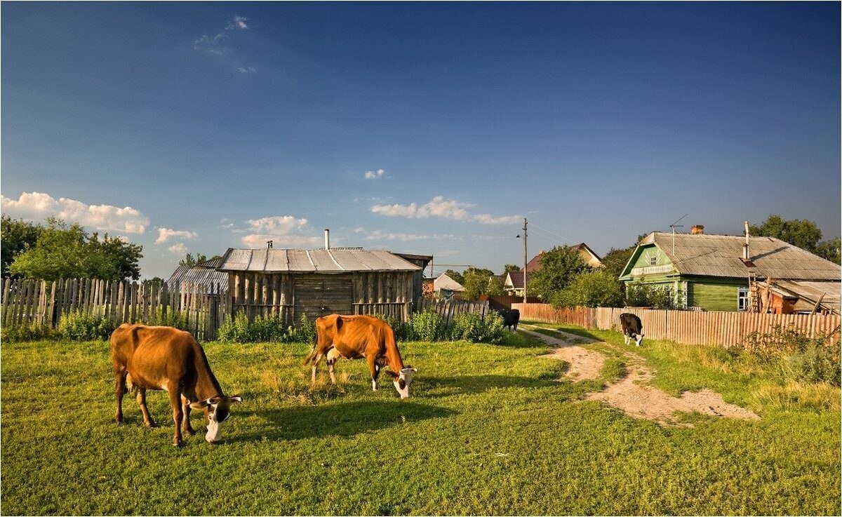 Деревня летом