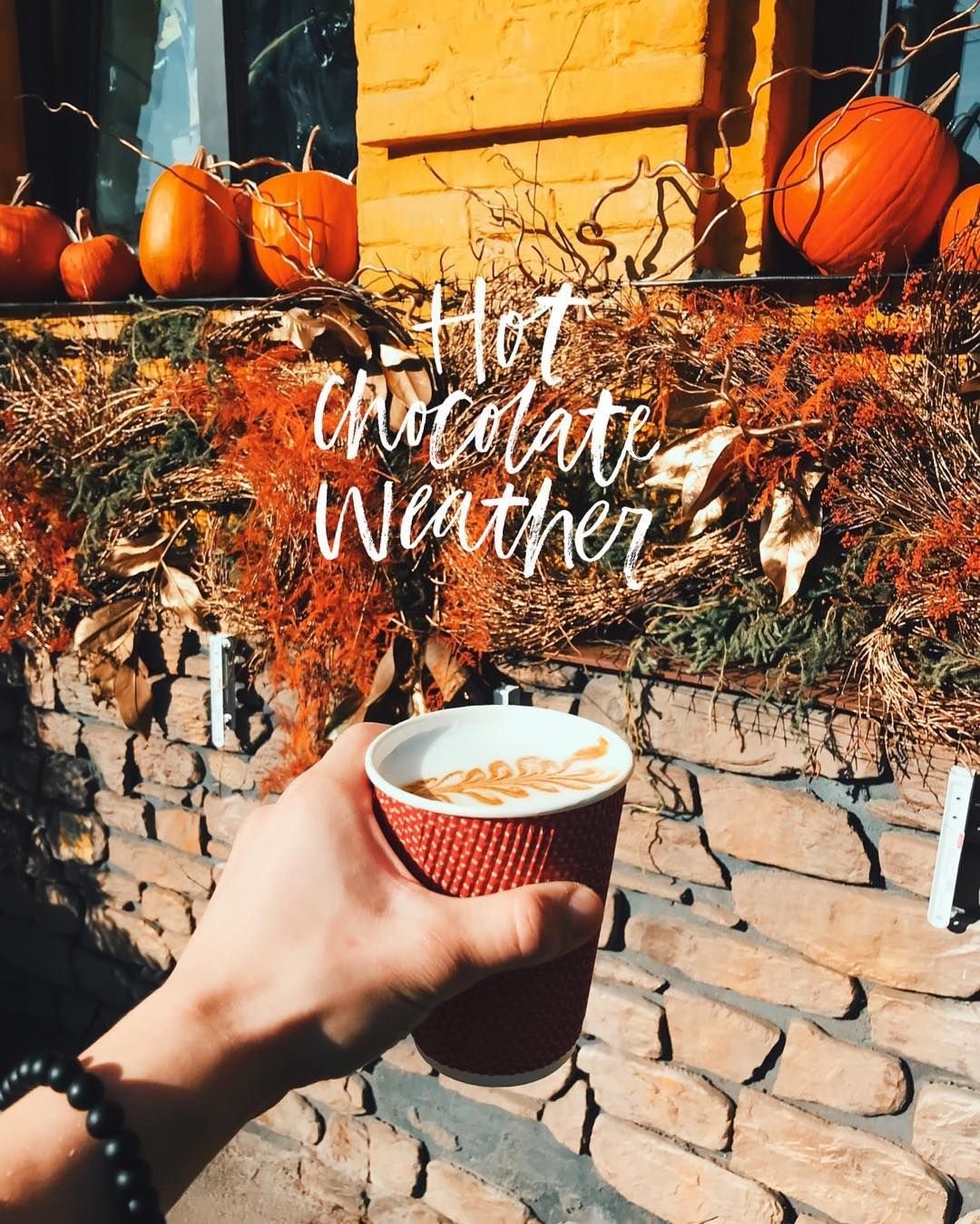 Осеннее утро Эстетика