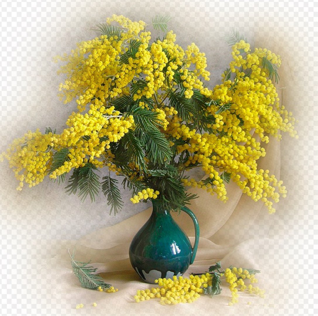 Андрияки Мимоза