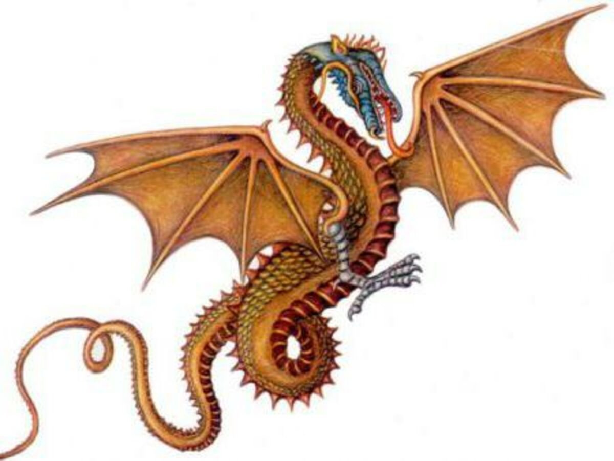 Год дракона