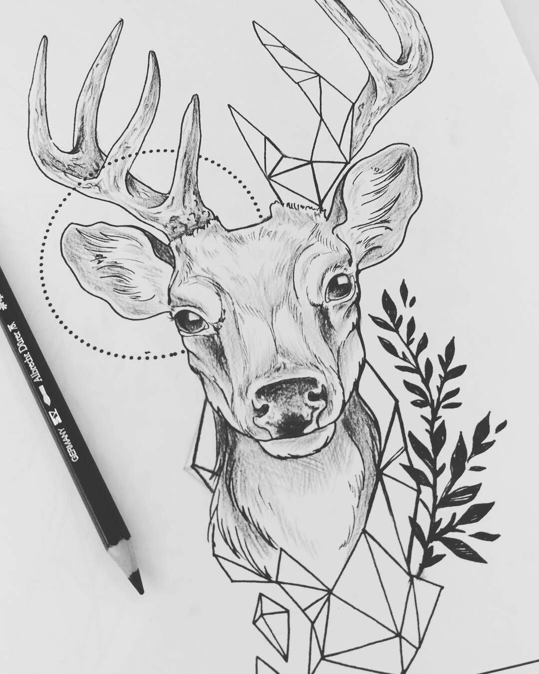 Олень рисунок
