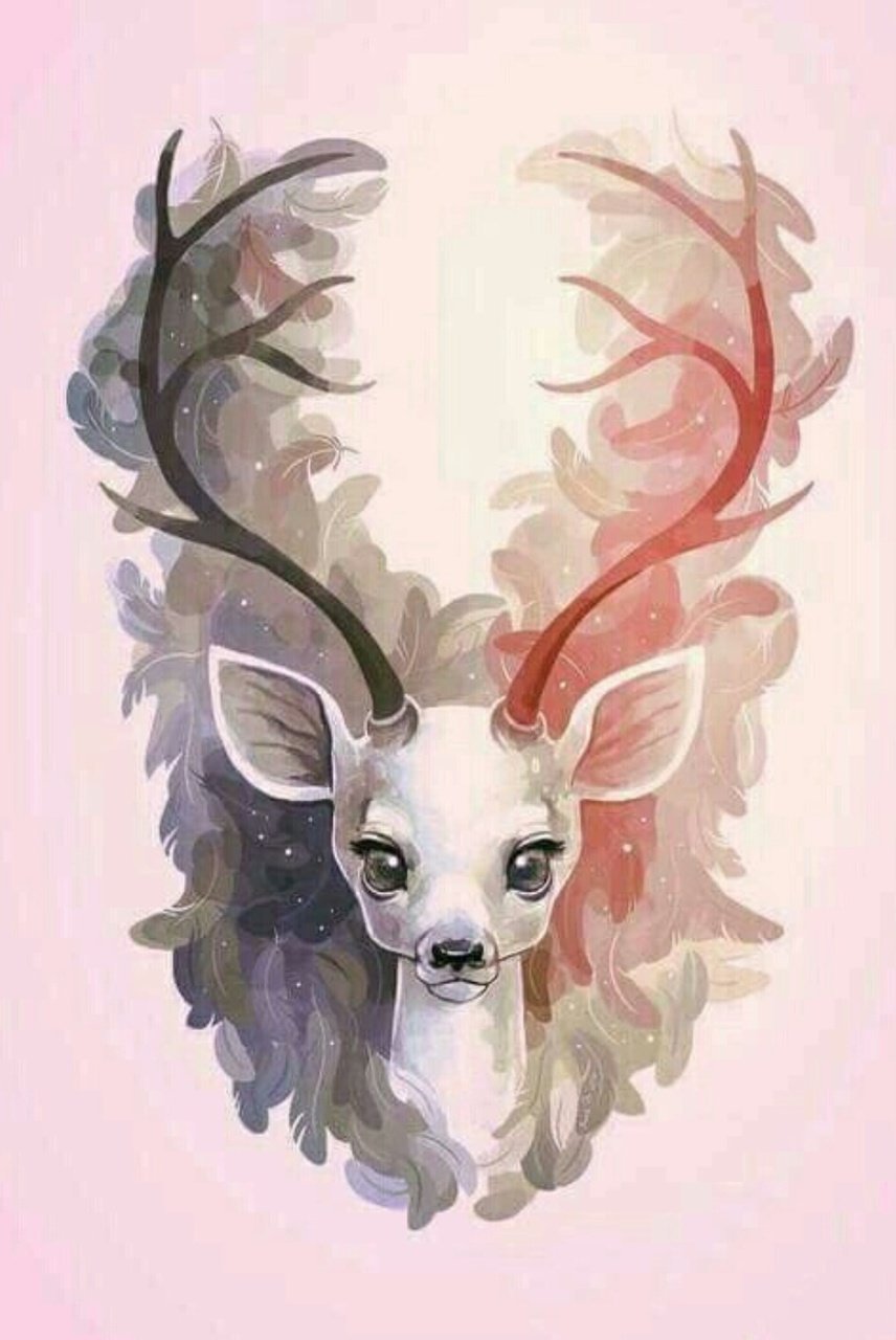 Олень раскраска для детей