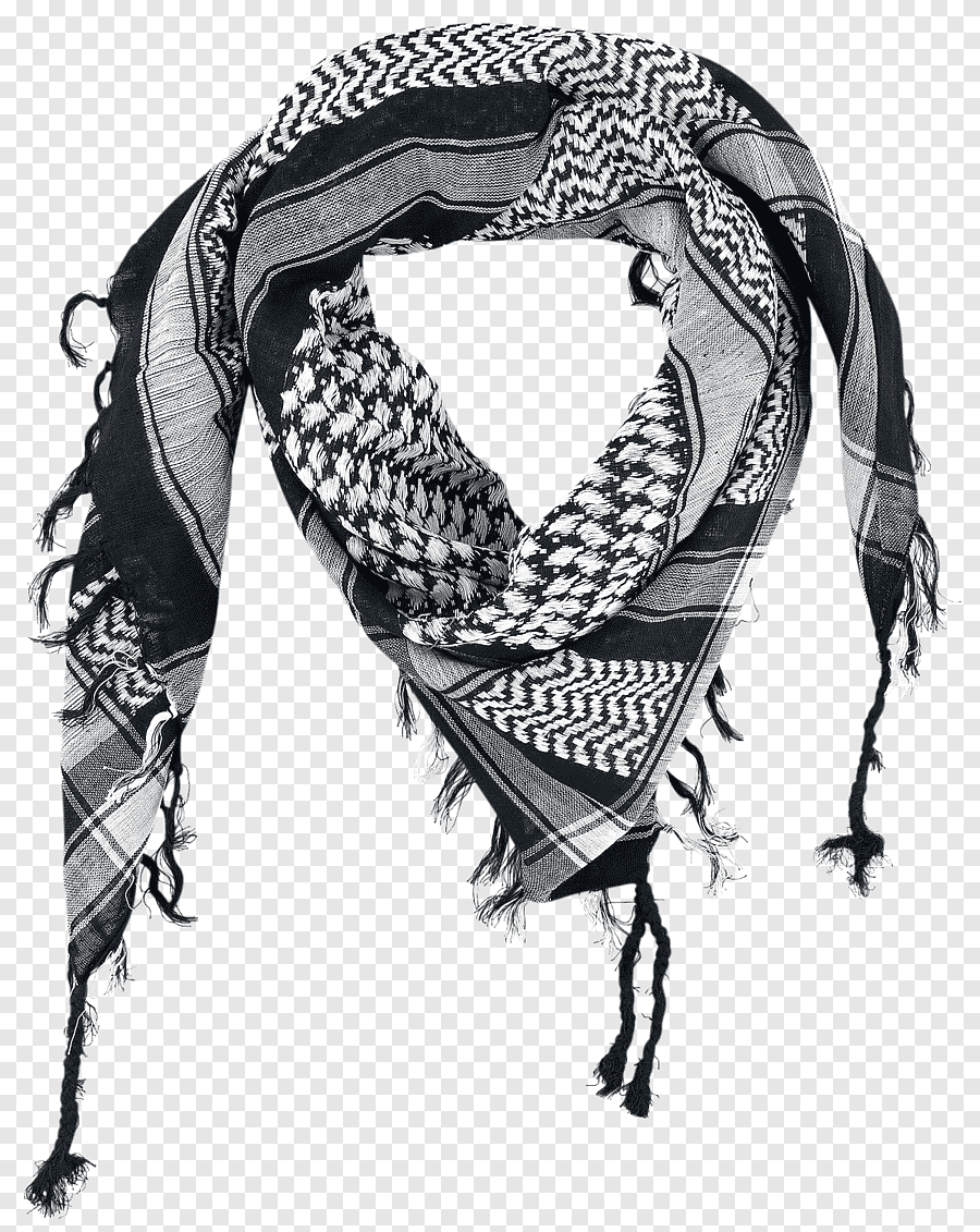 Векторное изображение шарф