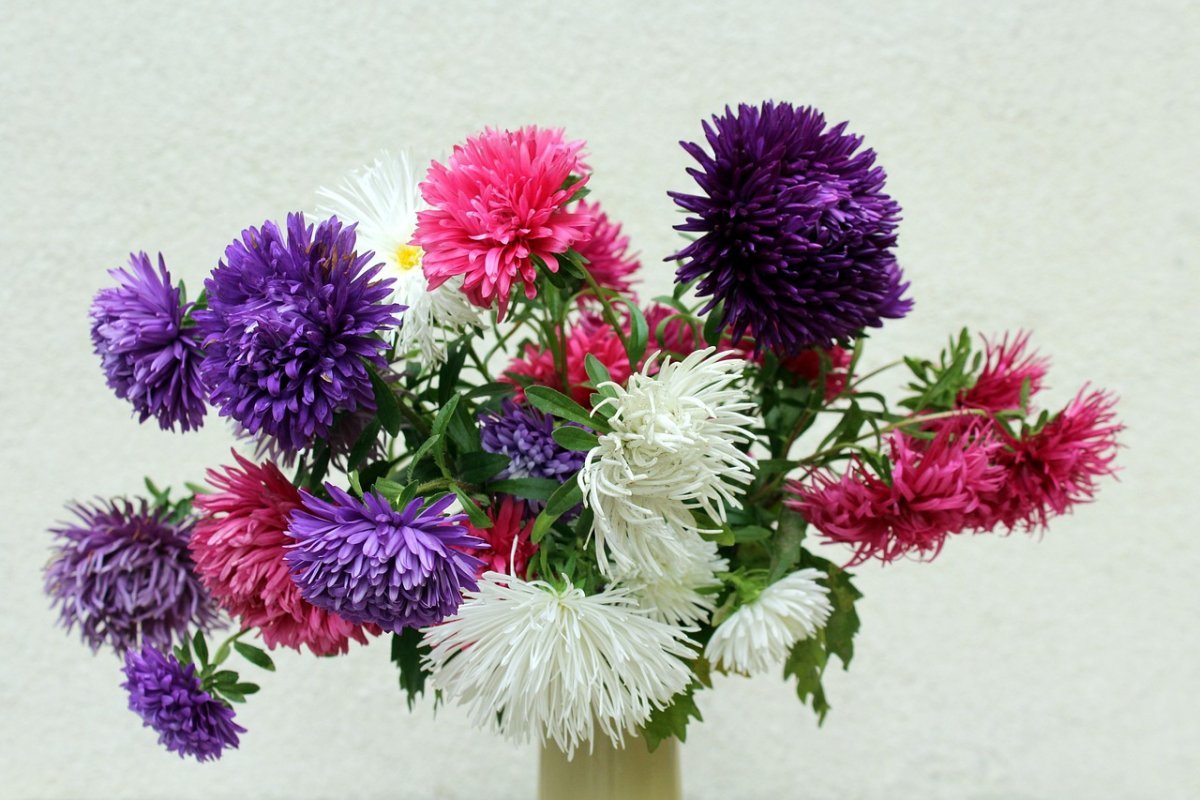 Первосентябрьский букет астр