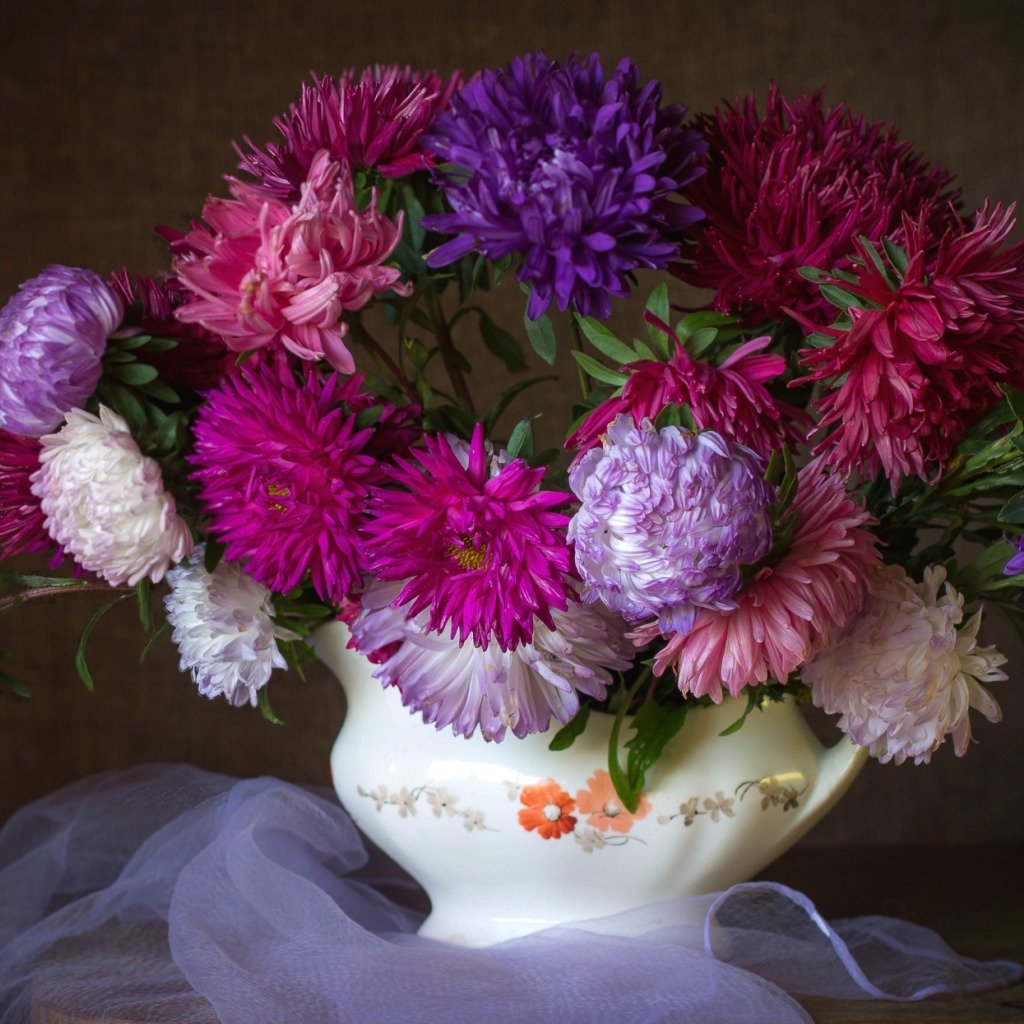 Астры, георгины, хризантемы, виноград