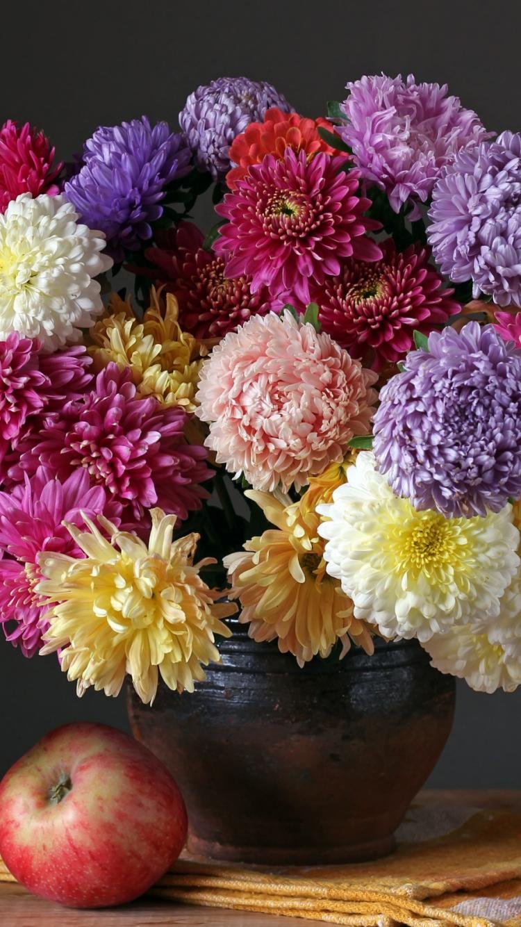 Букет осенние цветы астры сентябринки