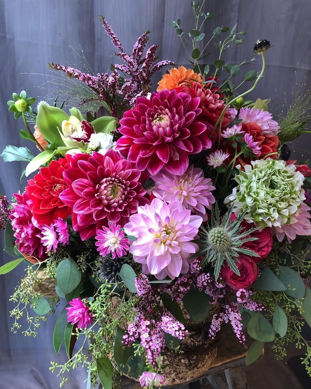 Цинии георгины астры