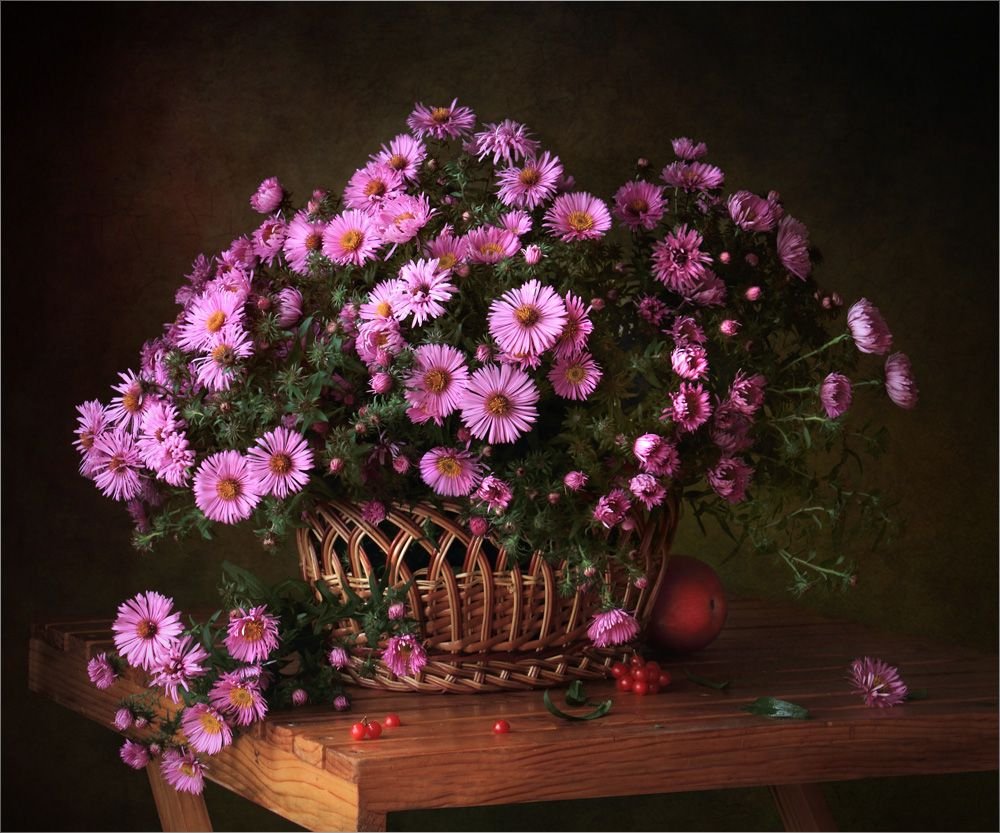 Хризантемы сентябринки