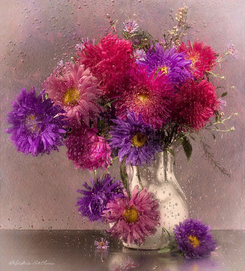 Астра Танечкин букет