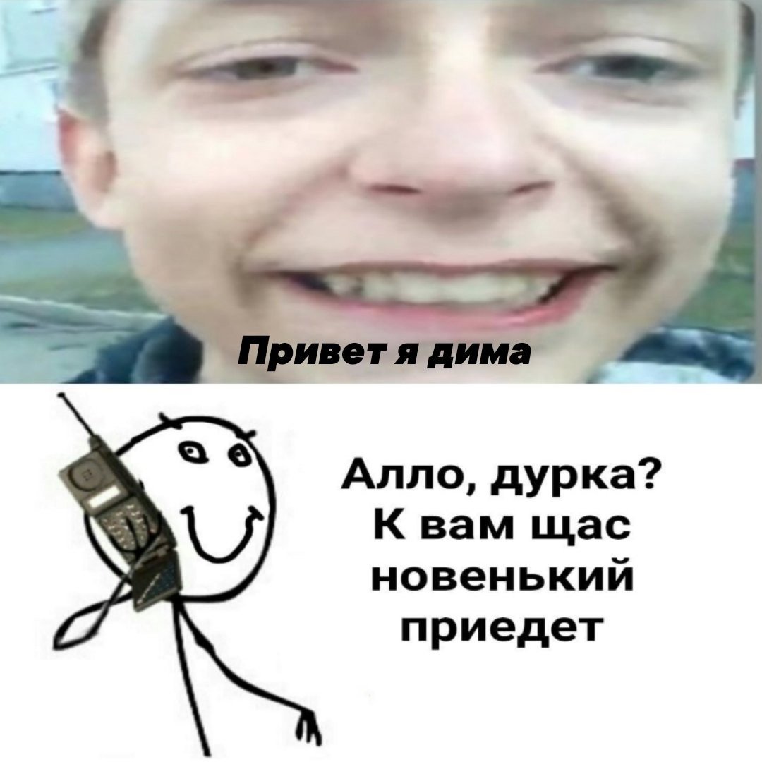 Дима тупой