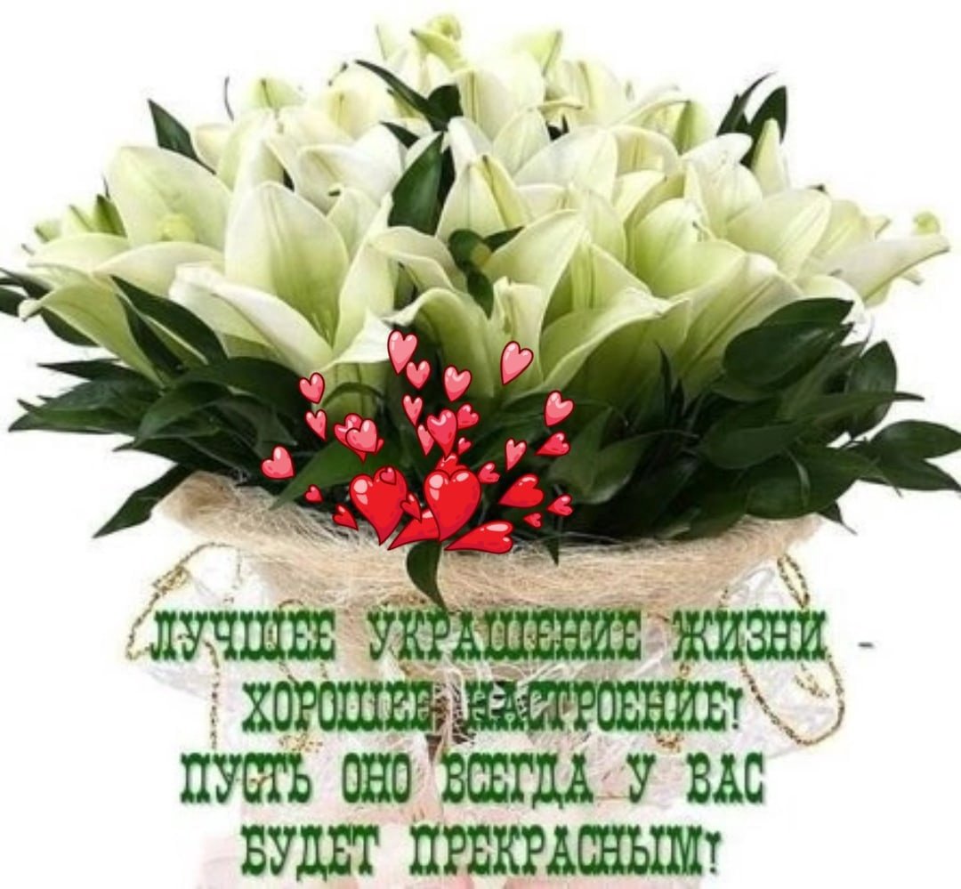 Поздравления с днём рождения Лиле