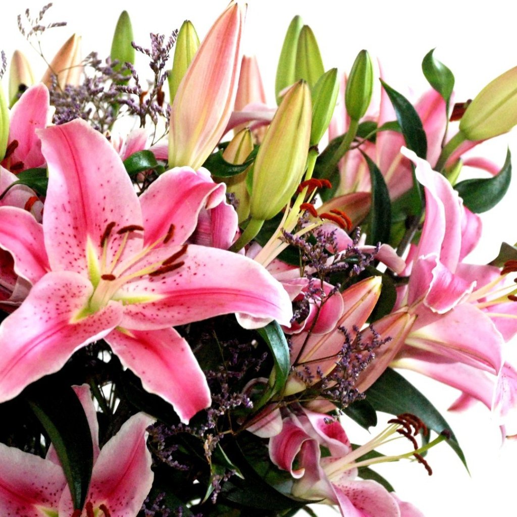 Поздравление сднём рождения пожилой женщине