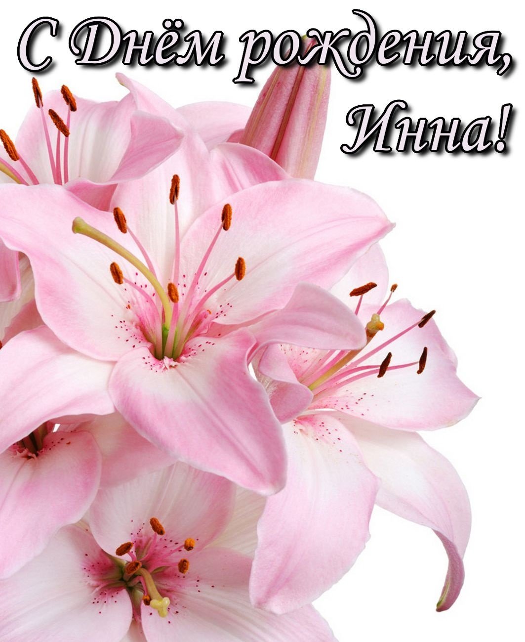 Фон с лилиями