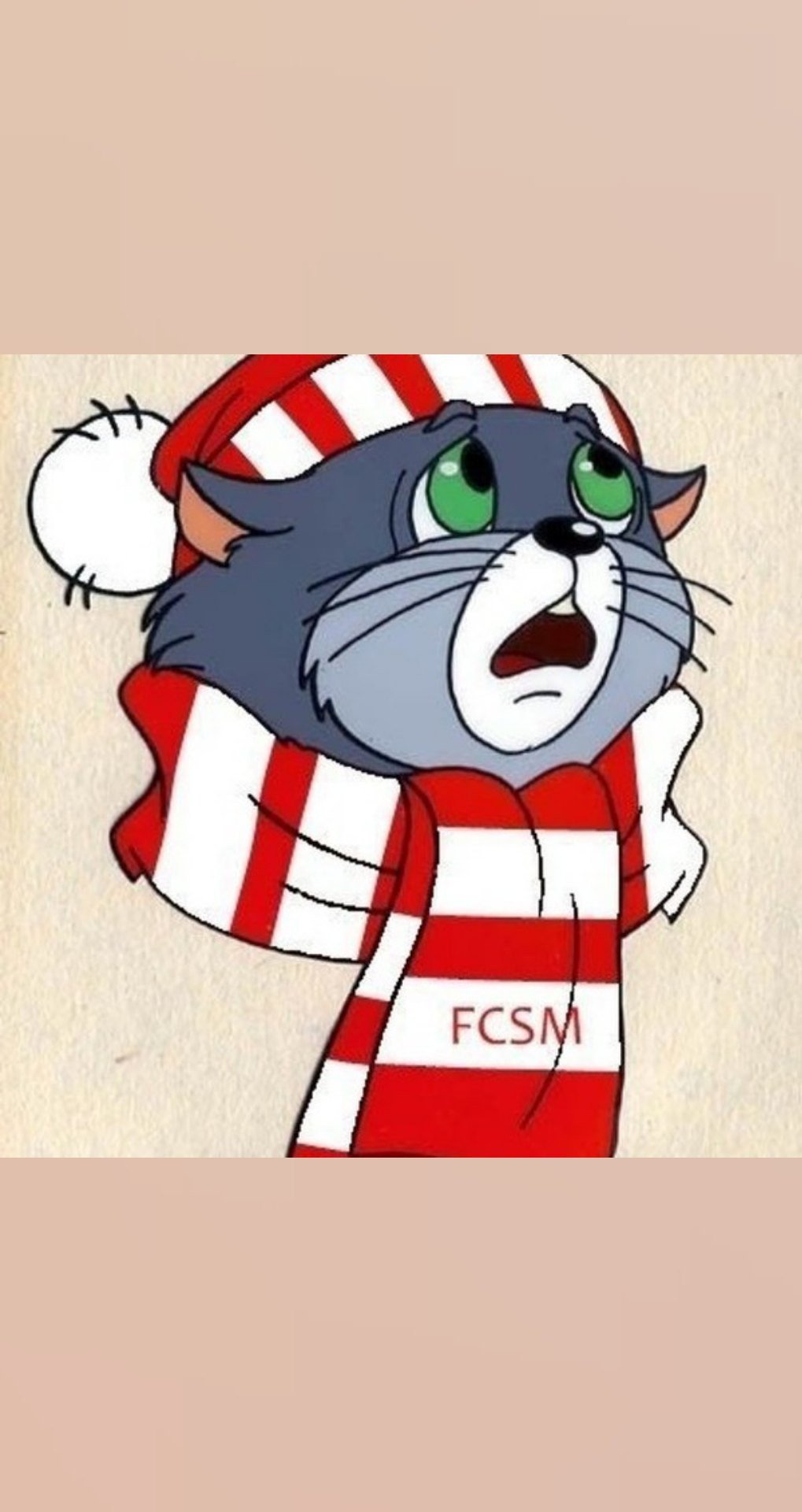 Матроскин в шарфе Спартака