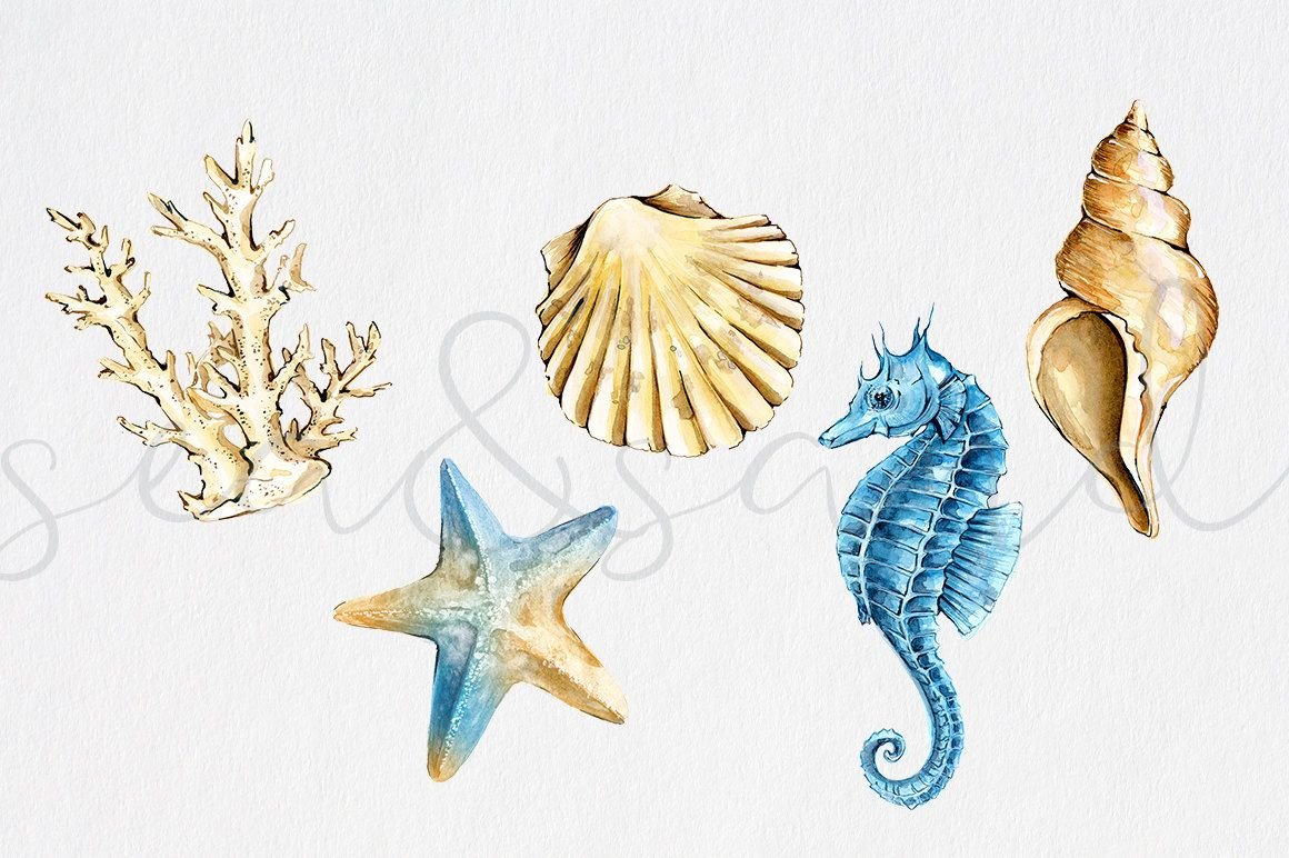 Морская звезда акварель