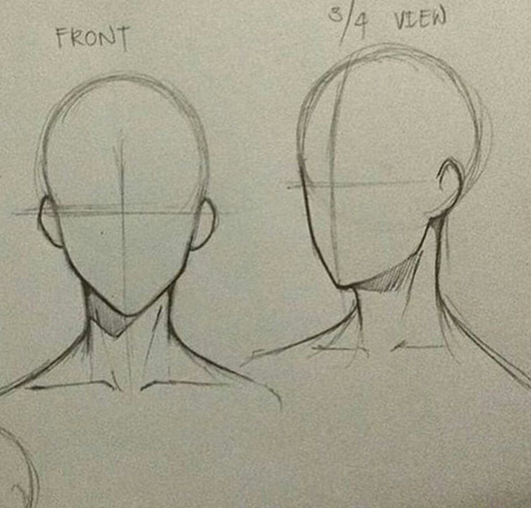 Голова 3/4 референс аниме