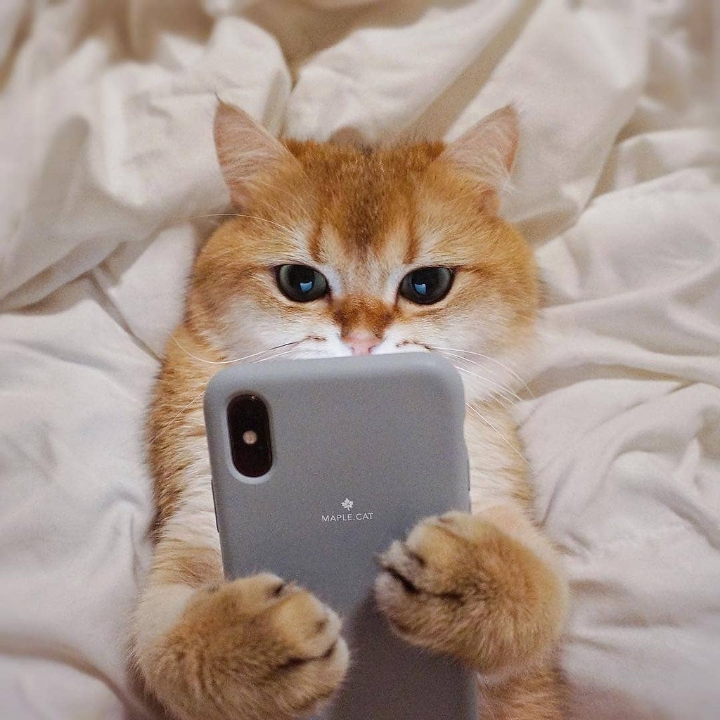 Уутоо начинается с кофе