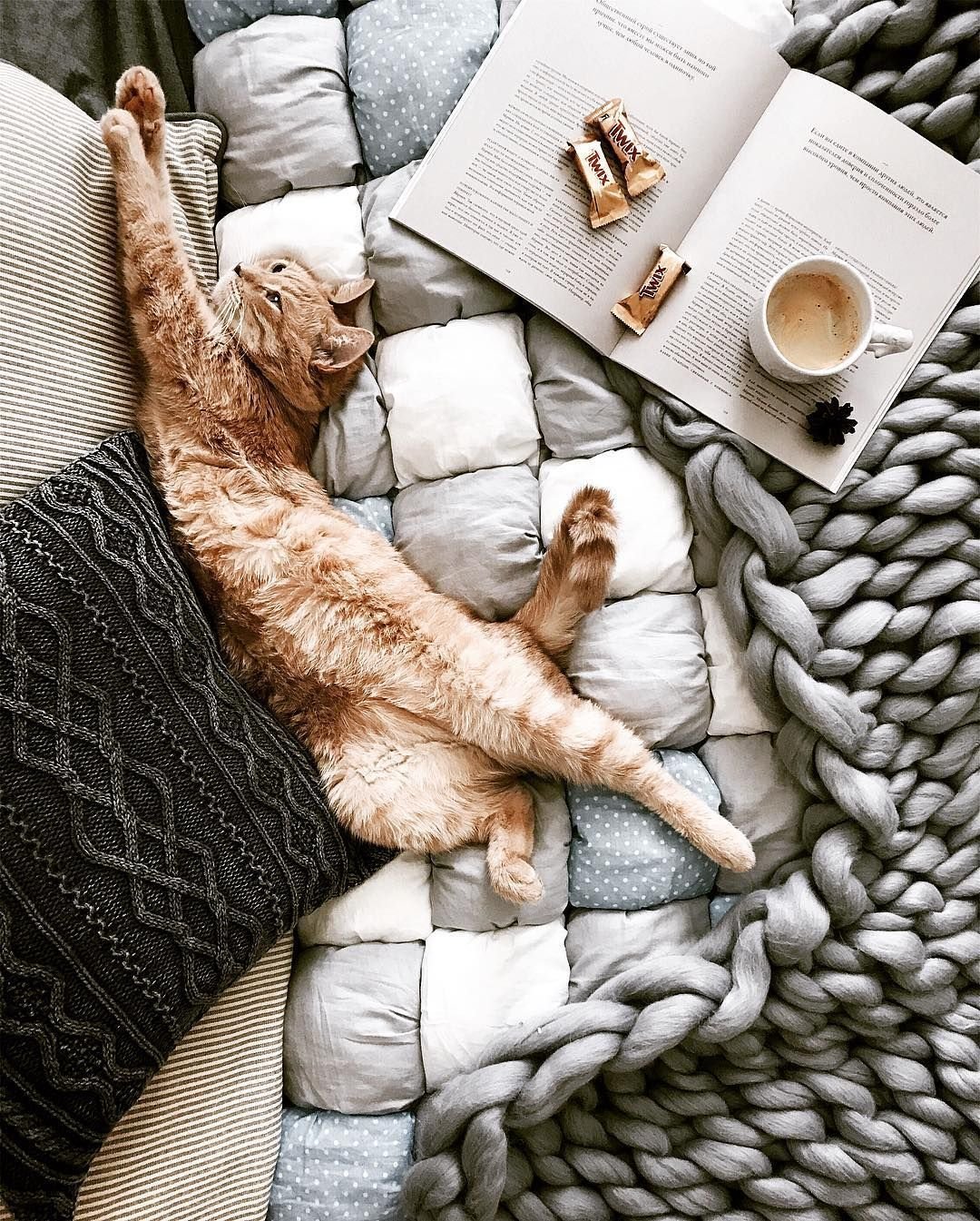 Мило зевает