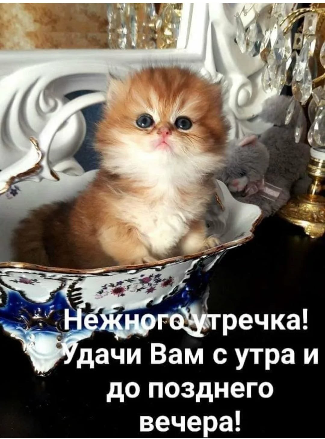 Поздравление с добрым утром