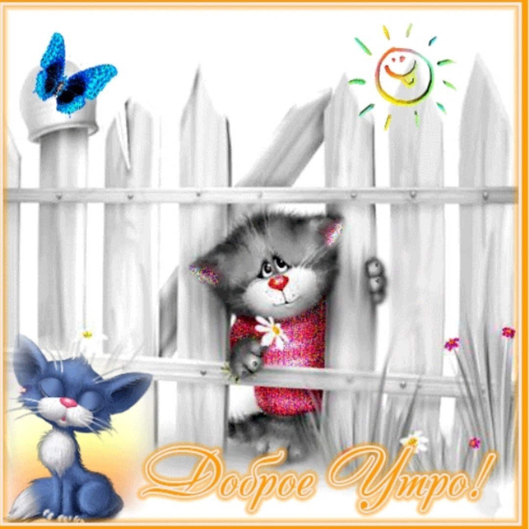 Утренние котики Веселые