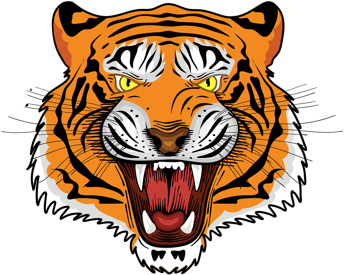 Толстый тигр рисунок