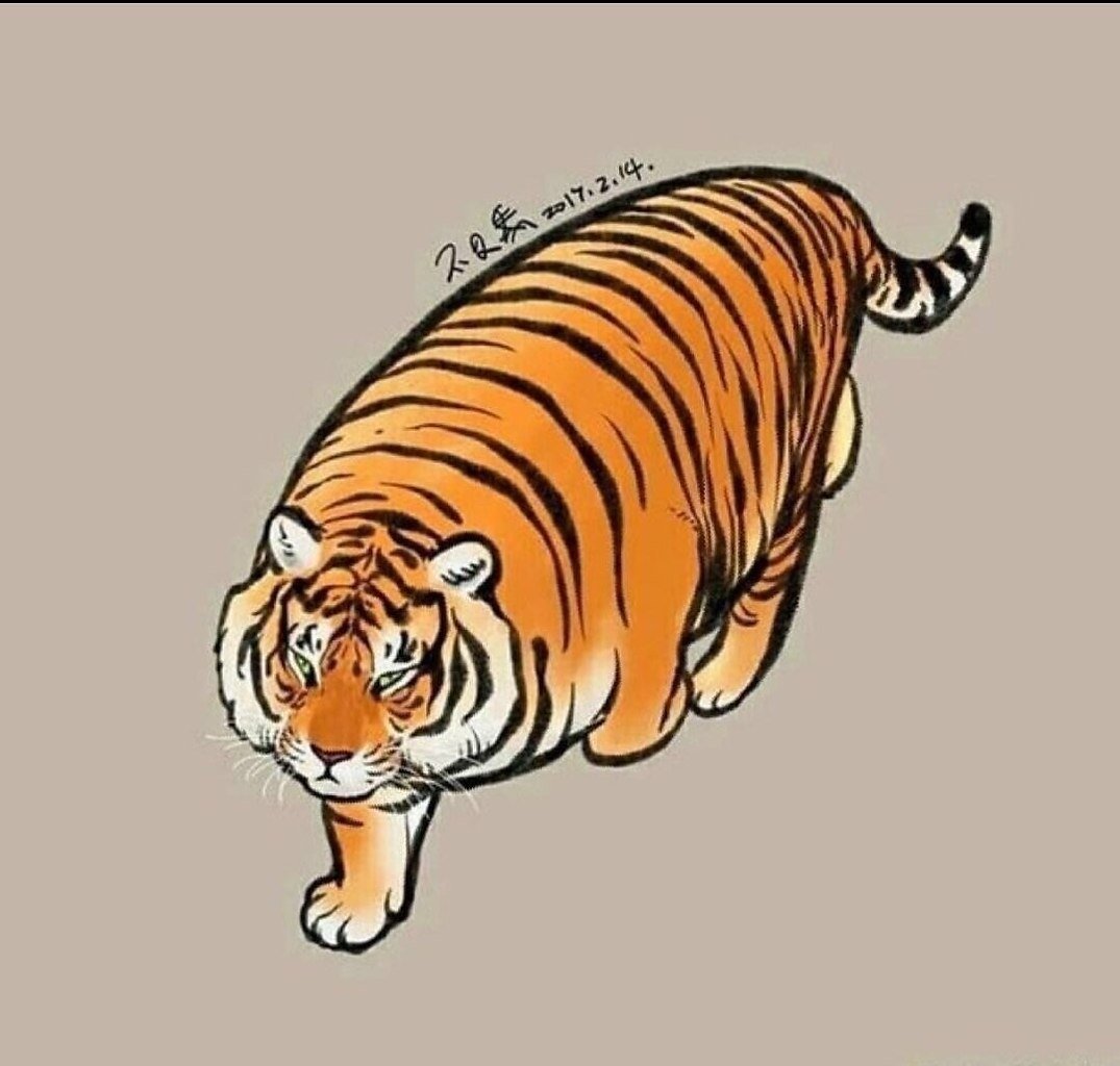 Тигр черно белый