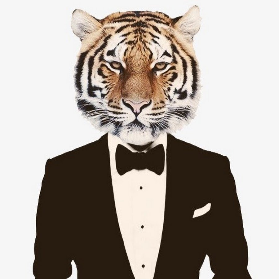 Тигр японский рисунок