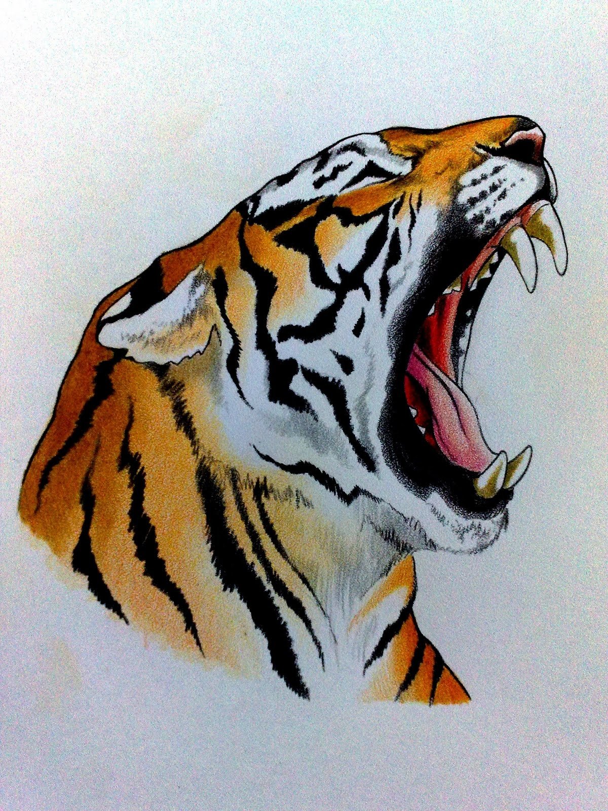 Рисунок на тему тигр