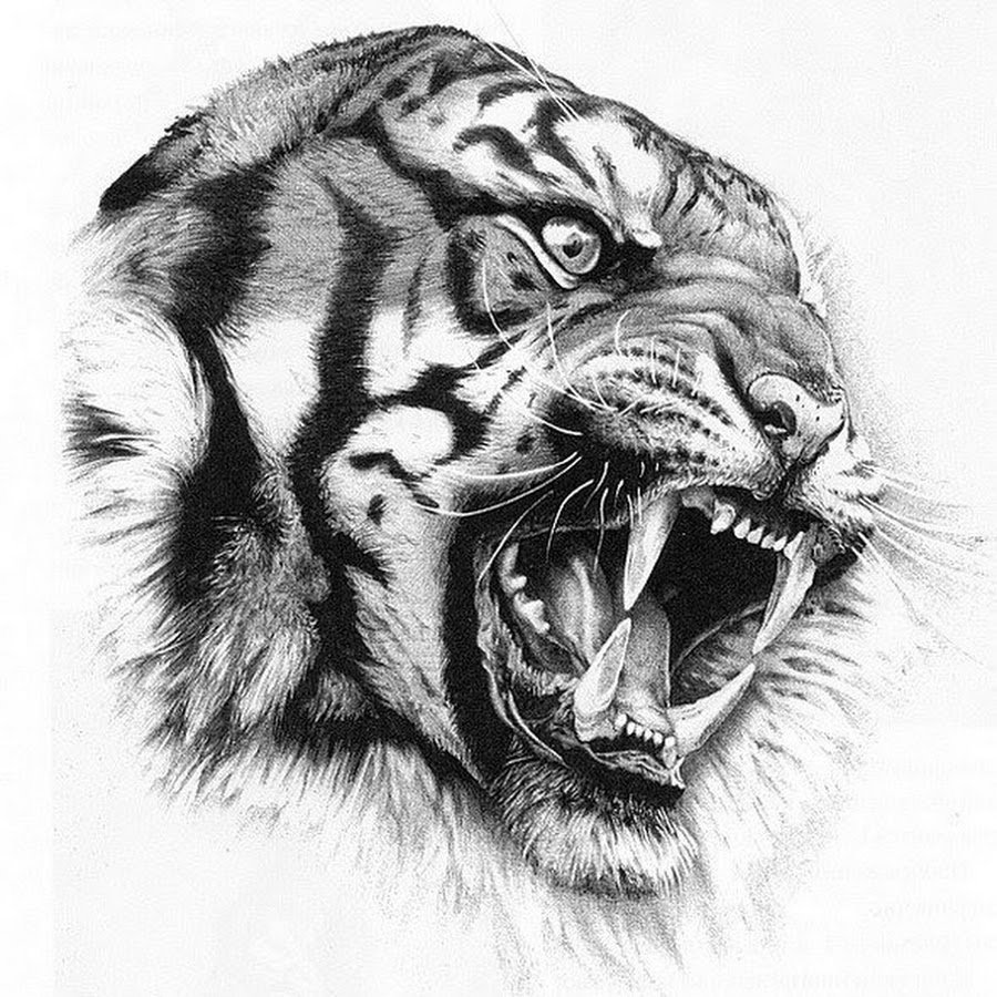 Японский кот рисует тигра