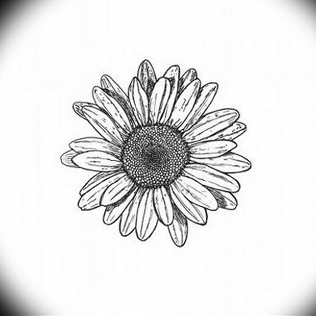 Ромашки для вырезания цветные