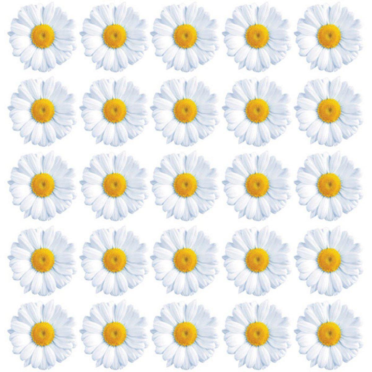 Ромашки на зеленом фоне рисунок