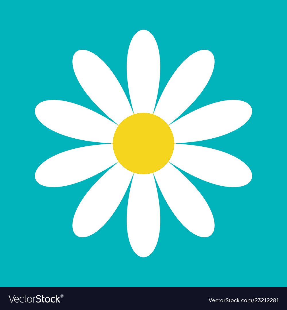 Ромашка с прозрачной серединкой