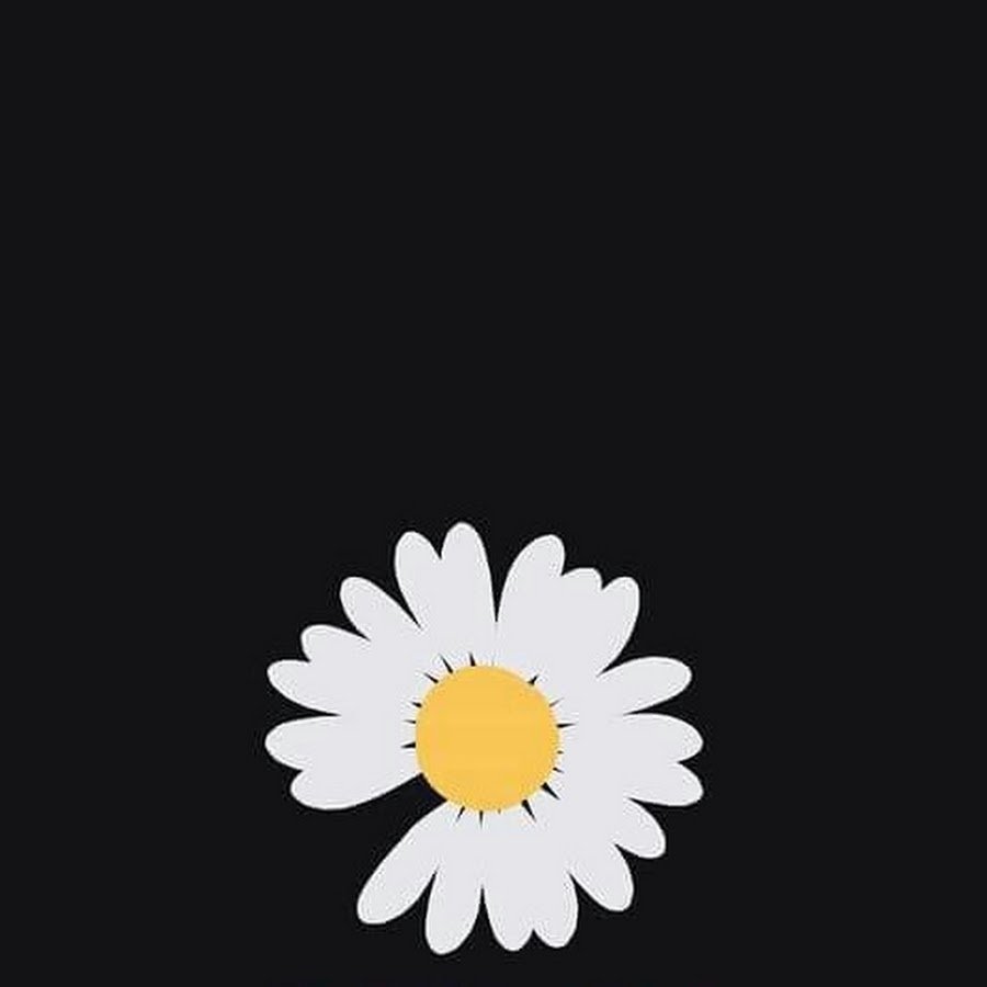 Много ромашек рисунок