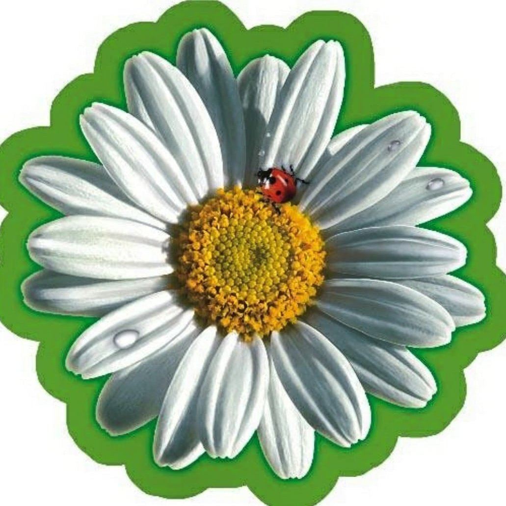 Ромашка для печати