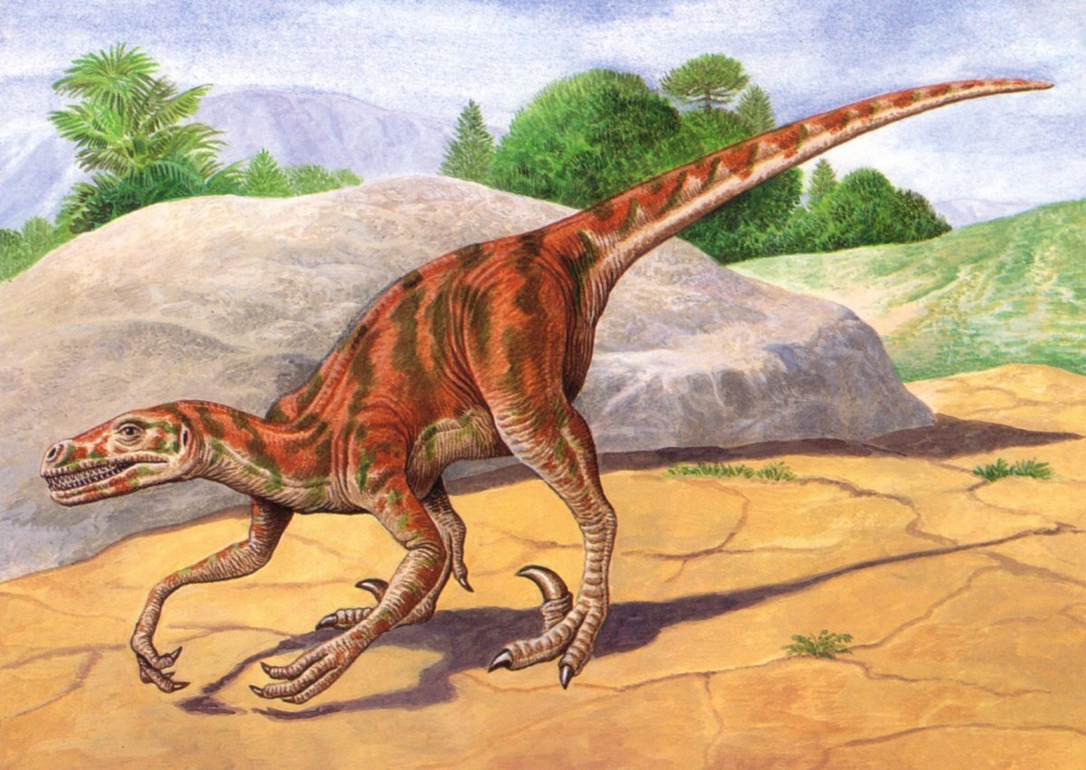 Тероподы КУРОЗАВРЫ