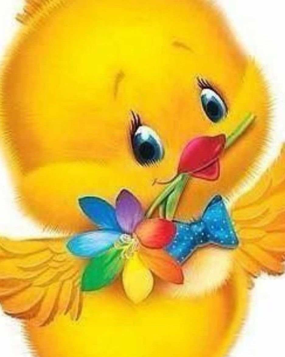 Цыплята для детского сада