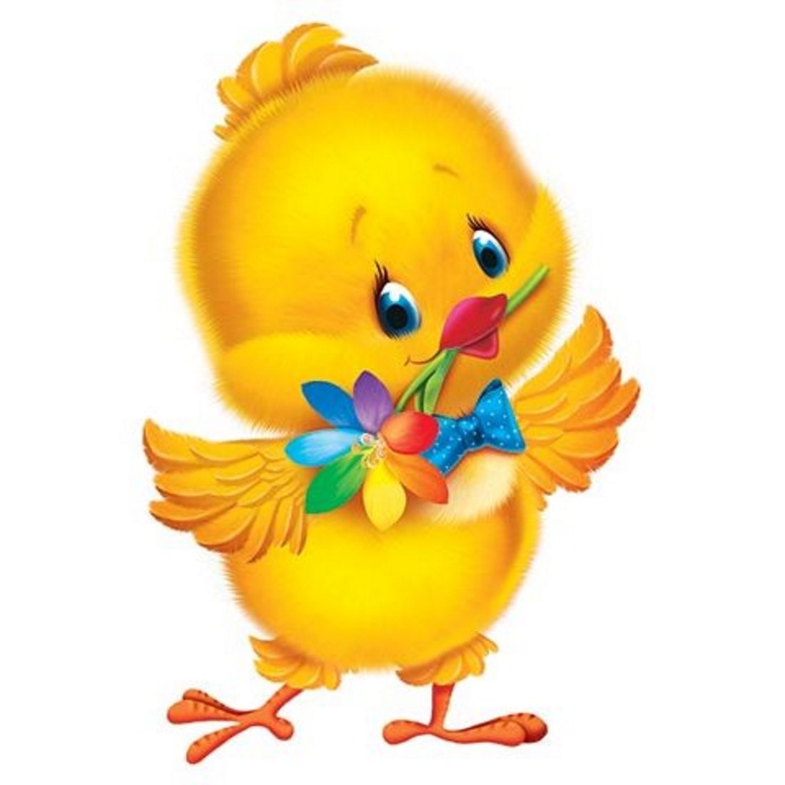 Цыпленок Sweety