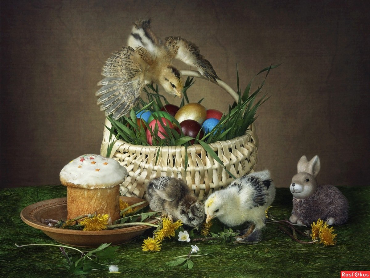 Художник Виктория Кирдий коты