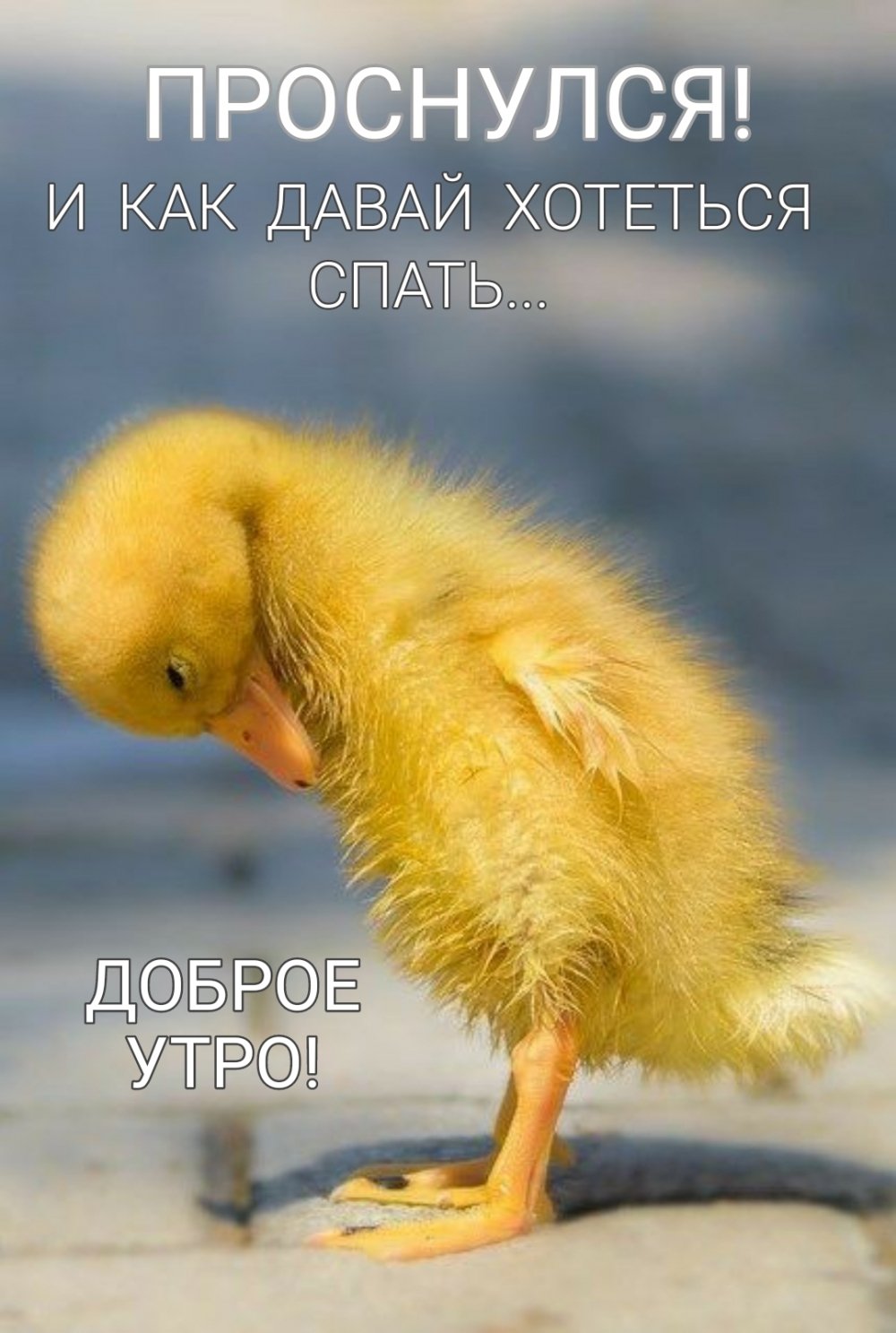 Открытки с добрым утром приятного аппетита