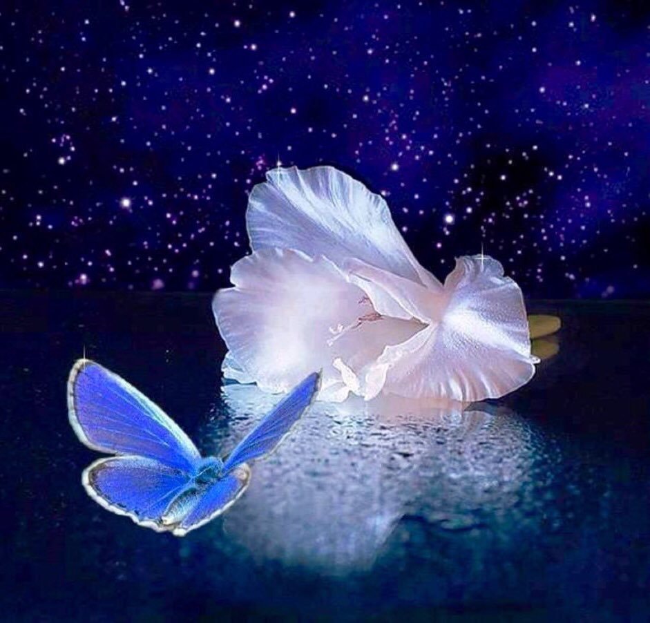 Светящиеся мотыльки